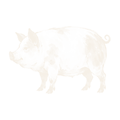 ภาพลายเส้นหมู สัตว์ประจำยามกุน