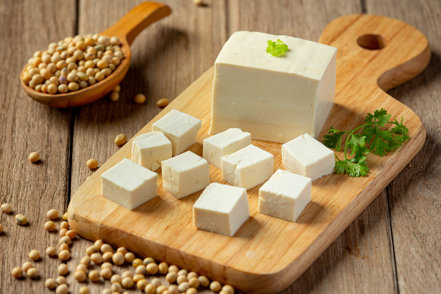 tofu-made-from-soybeans-food-nutrition-concept